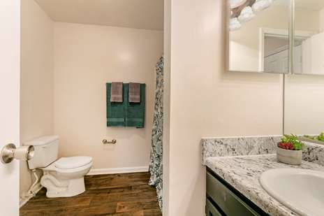 Deep River Pointe Apartments - DeepRiverPointe_Bathroom (3)_HighRes