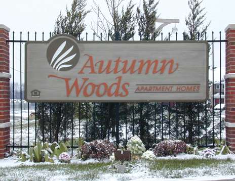 Autumn Woods - 637738642663032592